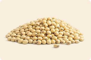 Soyabeans